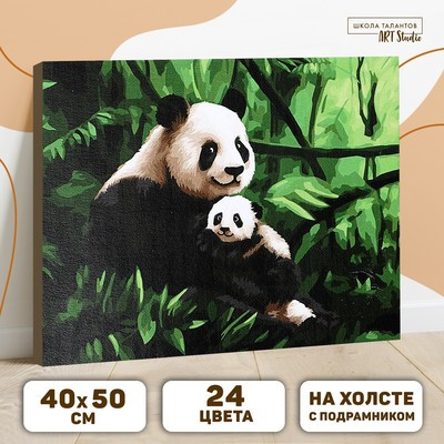 Картина по номерам на холсте с подрамником «Панды. Мама и малыш» 40 × 50 см