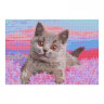 Алмазная мозаика «Британский котенок», полн.заполнение, 21 × 30 см