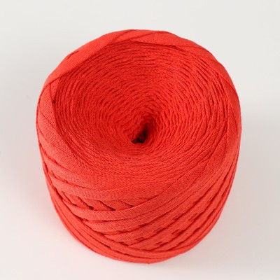 Шнур Риббон 85м/170±5 гр (Хурма) Шнур Риббон 85м/170±5 гр (Хурма)