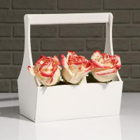 Кашпо деревянное "Виллиан Лонг", с ручкой, белый, 25×12,5×10(28) см