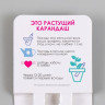 Растущие подарочные карандаши mini "Акация и гвоздика" набор 2 шт