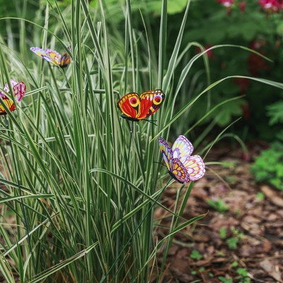 Набор штекеров "Бабочка" 7х7см/30см, 30шт МИКС Набор штекеров "Бабочка" 7х7см/30см, 30шт МИКС