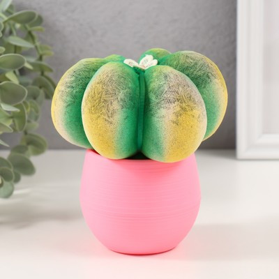 Растущий подарок травка Экоживчик "Кактус Астрофитум" розовый Растущий подарок травка Экоживчик "Кактус Астрофитум" розовый