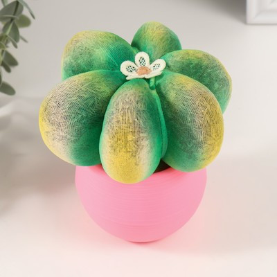 Растущий подарок травка Экоживчик "Кактус Астрофитум" розовый Растущий подарок травка Экоживчик "Кактус Астрофитум" розовый