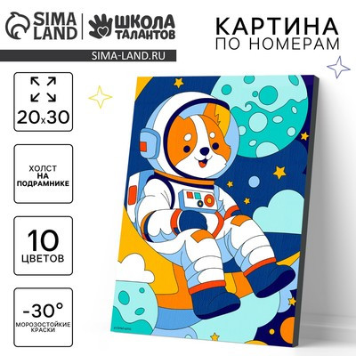 Картина по номерам "Корги космонавт" 20х30 см