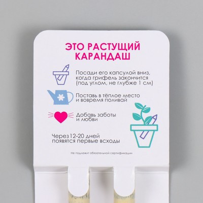 Растущие подарочные карандаши mini "Мята и Паприка" набор 2 шт