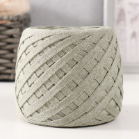 Трикотажная пряжа &quot;Риббон&quot; 85м/170±5 гр (Лён)