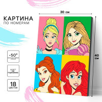 Картина по номерам в плёнке "Принцессы" 30х40 см