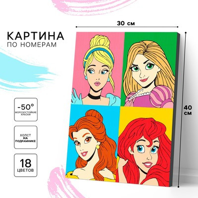 Картина по номерам в плёнке "Принцессы" 30х40 см