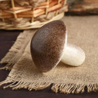 Муляж &quot;Гриб белый&quot; 8х8 см (2 шт.)