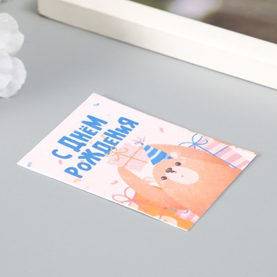 Открытка с семенами "Вырасти сам" "С Днём Рождения" детская 5*7см Открытка с семенами "Вырасти сам" "С Днём Рождения" детская 5*7см