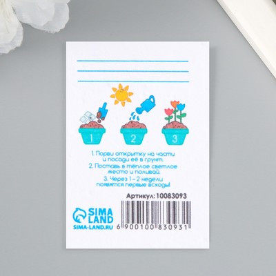 Открытка с семенами "Вырасти сам" "С Днём Рождения" детская 5*7см Открытка с семенами "Вырасти сам" "С Днём Рождения" детская 5*7см