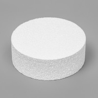 Флористическая основа &quot;Диск&quot;, 15 х 5 см 1226038