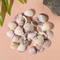 Ракушки природные декоративные &quot;Венус тигровая&quot; набор 100 гр