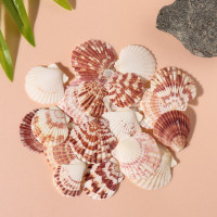 Ракушки природные декоративные &quot;Гребешок&quot; набор 100 гр