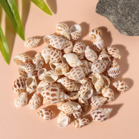 Ракушки природные декоративные &quot;Бабилония&quot; набор 100 гр