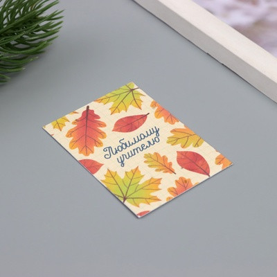 Открытка с семенами "Вырасти сам" "Любимому учителю" 5*7см (2 шт.) Открытка с семенами "Вырасти сам" "Любимому учителю" 5*7см (2 шт.)