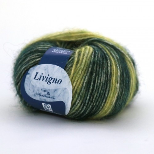 Пряжа Livigno (Bertagna Filati) 206  зеленый принт