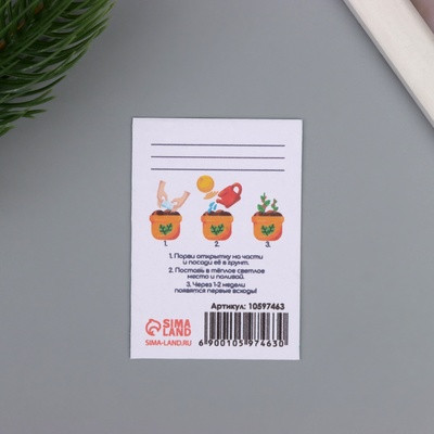 Открытка с семенами "Вырасти сам" "Первокласснику" 5*7см (2 шт.) Открытка с семенами "Вырасти сам" "Первокласснику" 5*7см (2 шт.)