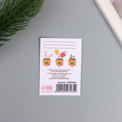 Открытка с семенами "Вырасти сам" "Шампанское" 5*7см (2 шт.) Открытка с семенами "Вырасти сам" "Шампанское" 5*7см (2 шт.)