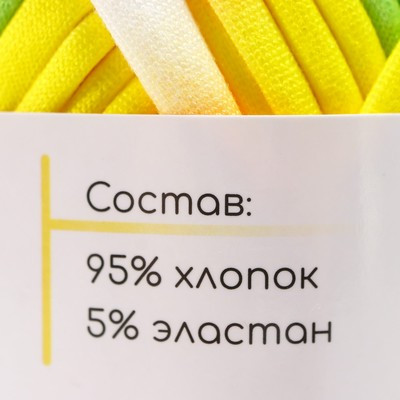 Пряжа трикотажная 95% хлопок, 5% эластан "Lentino Melange" 100 гр 30 м цвет 1 (2 шт.) Пряжа трикотажная 95% хлопок, 5% эластан "Lentino Melange" 100 гр 30 м цвет 1 (2 шт.)
