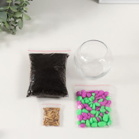 Набор для выращивания растений &quot;Вырасти травку&quot; шар прозрачный