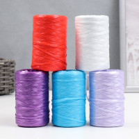 Пряжа "Для вязания мочалок" 100% полипропилен 400м/100±10 гр (набор 5 шт. цвет МИКС)