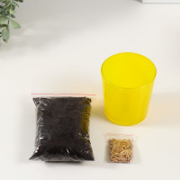 Набор для выращивания растений &quot;Вырасти травку&quot; желтый