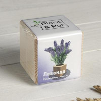 Набор для выращивания P&amp;P &quot;Лаванда&quot;