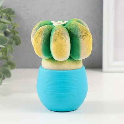 Растущий подарок травка Экоживчик "Кактус Астрофитум" голубой