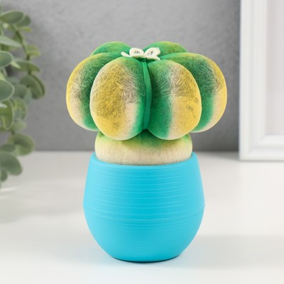 Растущий подарок травка Экоживчик "Кактус Астрофитум" голубой Растущий подарок травка Экоживчик "Кактус Астрофитум" голубой