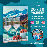Алмазная вышивка с полным заполнением 20х30 «Вино», холст