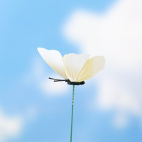 Штекер &quot;Бабочка&quot; 7см, длина 30см, белый (12 шт.)