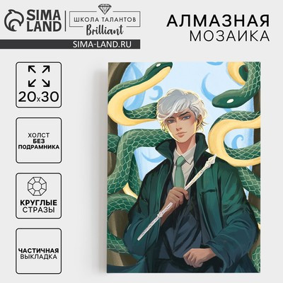 Алмазная вышивка с частичным заполнением "Парень со змеями" 20*30 см, холст