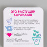 Растущие подарочные карандаши mini С любовью "Акация серебристая"
