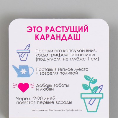 Растущие подарочные карандаши mini С любовью "Акация серебристая"