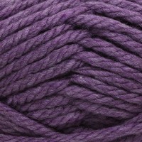 Диона (Астра) -  (Пряжа &quot;Диона&quot; 200гр. 60м (22% шерсть, 78% акрил) (9 сиреневый))