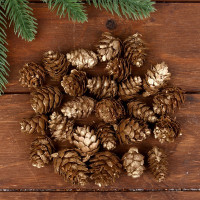 Набор новогоднего декора &quot;Шишки&quot;