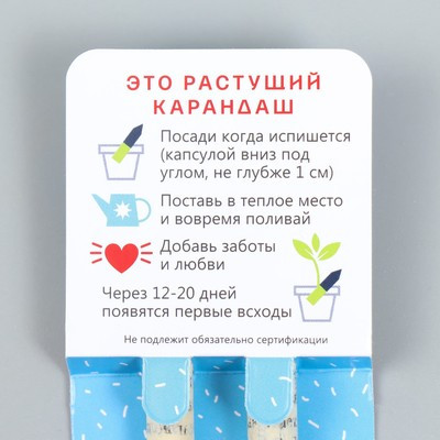 Растущие подарочные карандаши mini "Голубая ель и Сосна" набор 2 шт.