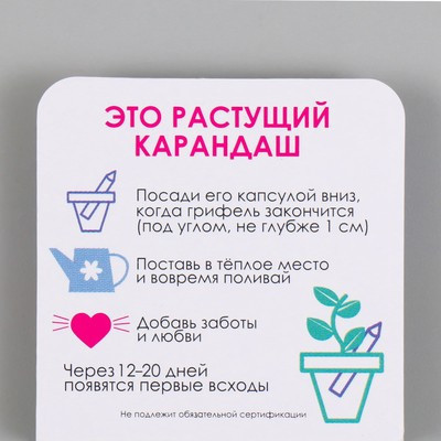 Растущие подарочные карандаши mini "Ель голубая"