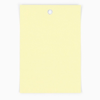 Наклейки бумажные «С 8 марта» пионы, на подарки , 9 × 16 см (10 шт.)