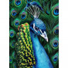 Алмазная вышивка с полным заполнением «Павлин» 15х21 см, на холсте Алмазная вышивка с полным заполнением «Павлин» 15х21 см, на холсте