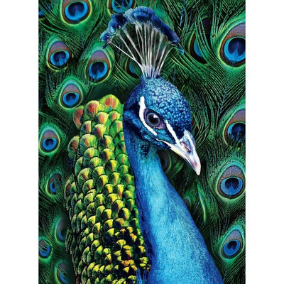 Алмазная вышивка с полным заполнением «Павлин» 15х21 см, на холсте Алмазная вышивка с полным заполнением «Павлин» 15х21 см, на холсте