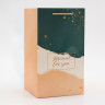 Переноская для цветов с вкладышем, "Present", с ручками, 20 х 20 х 35 см (5 шт.)