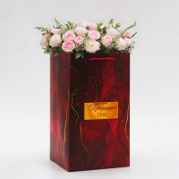 Переноская для цветов с вкладышем, &quot;Прекрасной тебе&quot;, с ручками, 20 х 20 х 35 см (5 шт.)