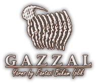 Пряжа Gazzal